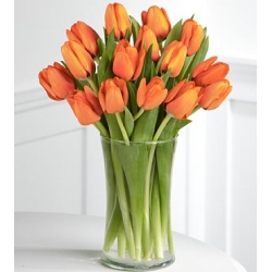 15 orange tulips vase to philippines