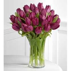 18 purple tulips in vase to philippines